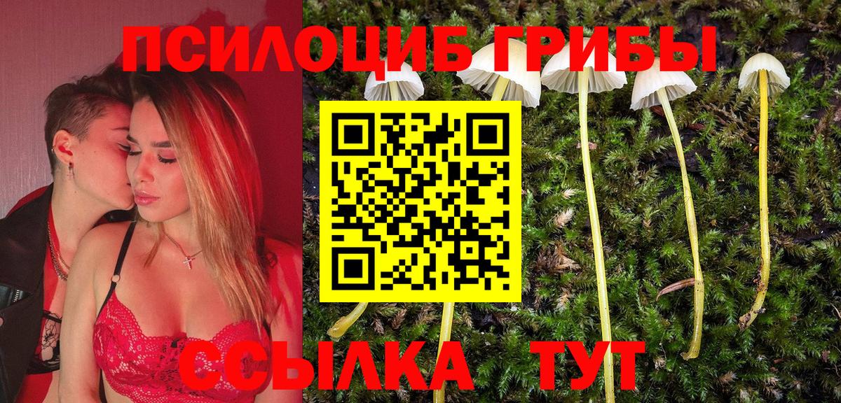 Благодарный  Псилоцибиновые грибы MAGIC MUSHROOMS  Вход с VPN 